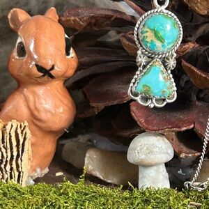 925 Sterling stunning Sonoran turquoise necklace